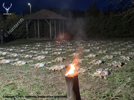 Na zajacoch v Maďarsku