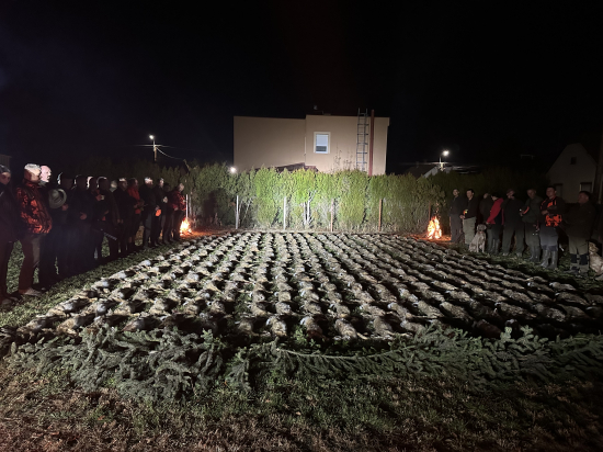 Na zajacoch v Maďarsku