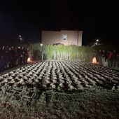 Na zajacoch v Maďarsku