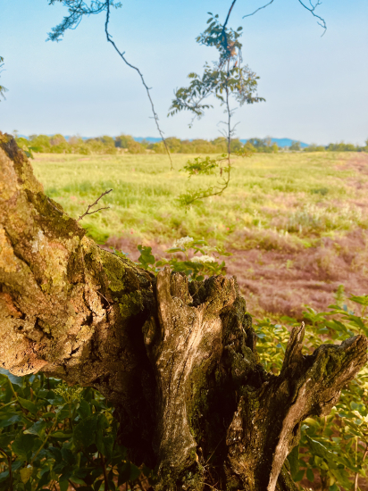 ránečko????????…