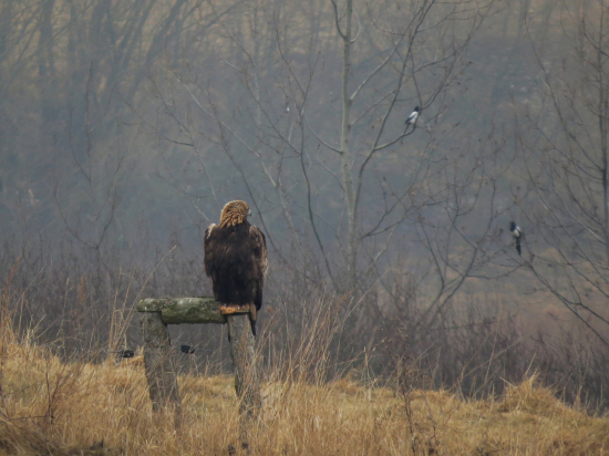 Spoločné posedenie...