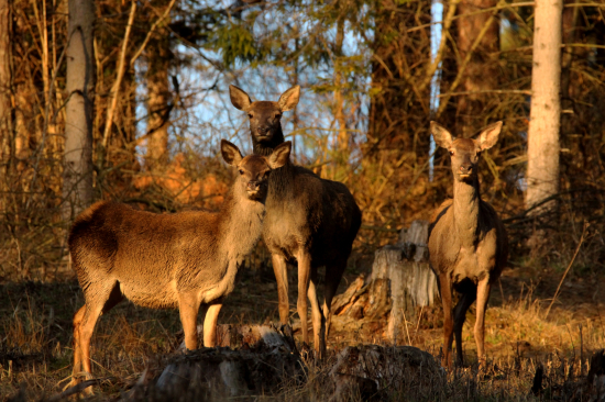 Na slniečku je najlepšie...