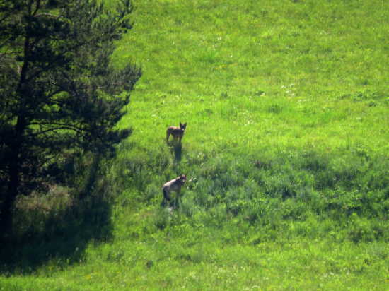 Len narýchlo dokumentačne...