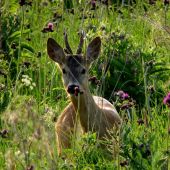 Večerné stretnutie...
