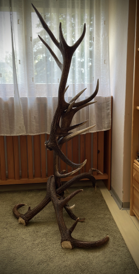 Vešiak - moja práca