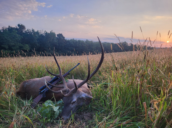 Kamarátov škodník
