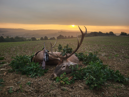 Čarovné septembrové ráno