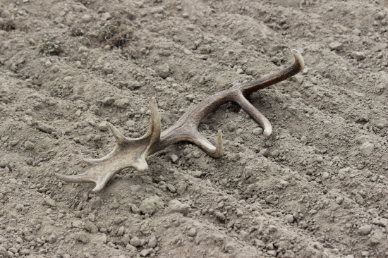 dobrý základ, uvidíme co nasadí letos