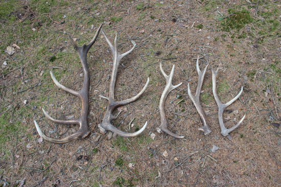 tak se ještě něco povedlo