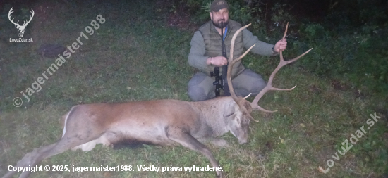 Jeleň 2.vt