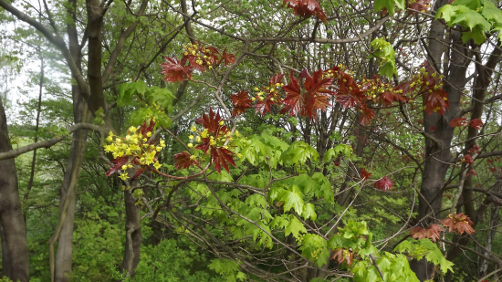barvy jarní přírody
