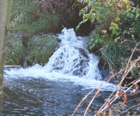 Přírodní fantazie