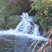 Přírodní fantazie