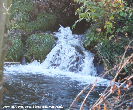 Přírodní fantazie