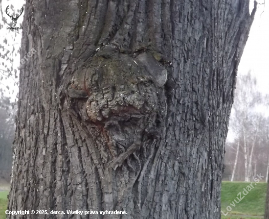 Přírodní fantazie