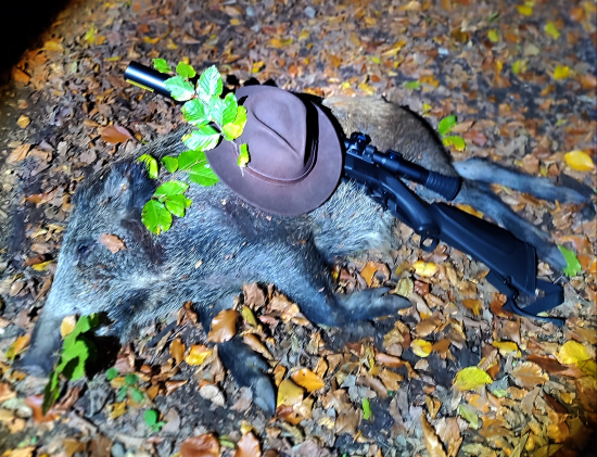 V doline za diviakmi