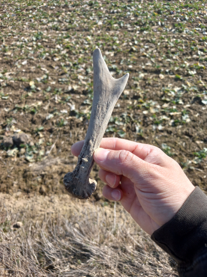 Na toto uz treba oči