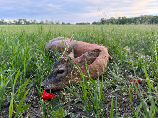 Sezóna úspešne začatá