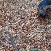 Stále sa dajú nájsť