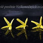 Veselé sviatky