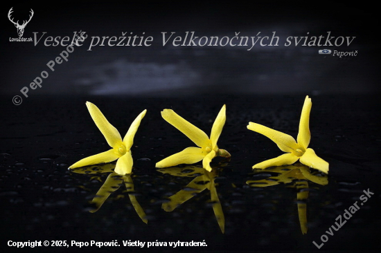 Veselé sviatky