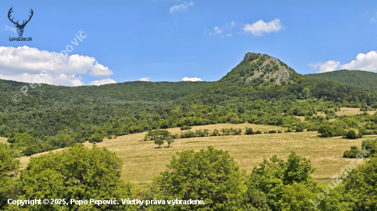 Omšenská Baba 669 m.n.m