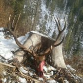 Nezabudnuteľný zazitok