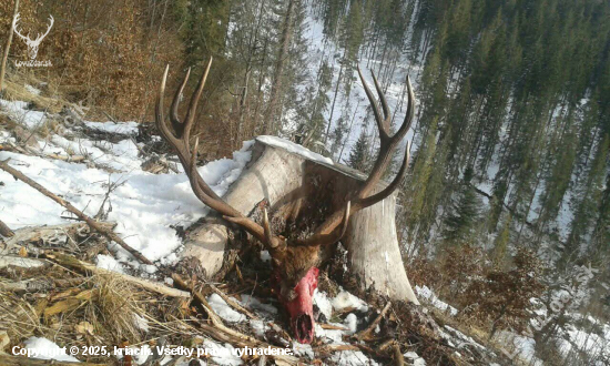 Nezabudnuteľný zazitok