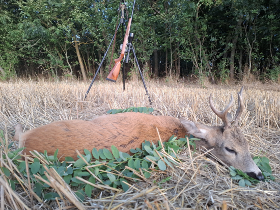 Vzájomné oklamanie...
