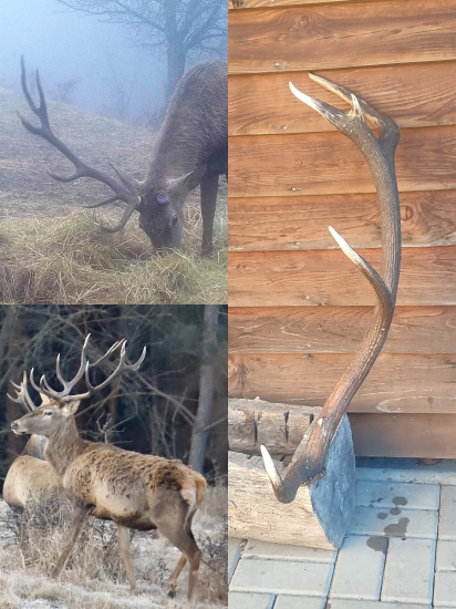 Iba jeden sa našiel