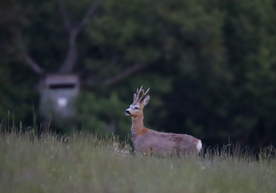 Pozor dakto je na posede