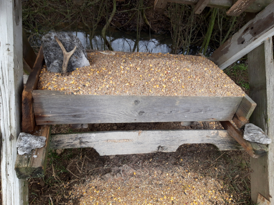 Odkliatie slepoty, alebo odmena za nelenivosť  :)