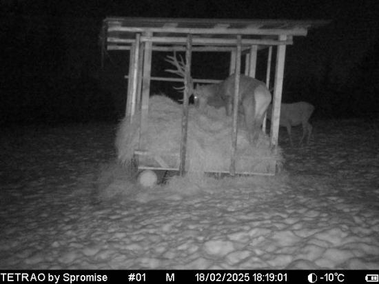 Nikdy nič nikomu, všetko sebe samému!