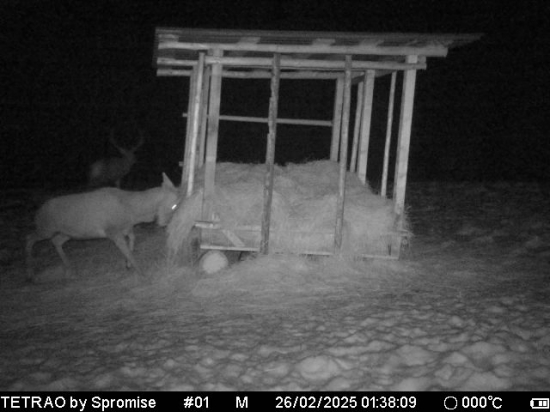 Skúška stability senníka.