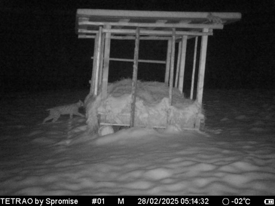 Keď je seno kvalitné...