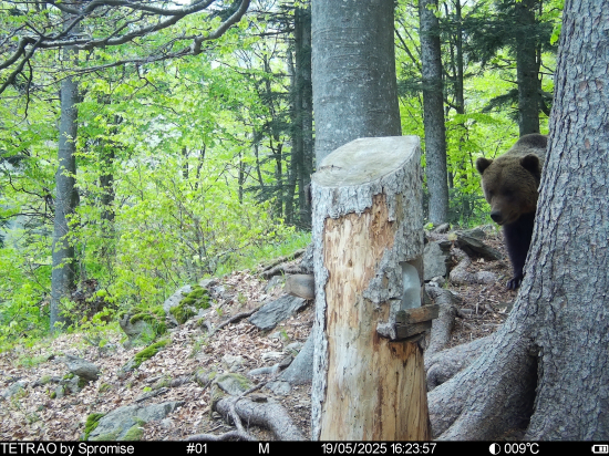 Nad turistickým chodníkom