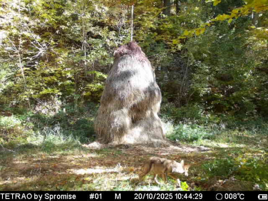 10 minút po našom odchode