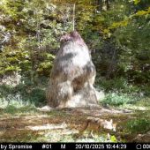 10 minút po našom odchode