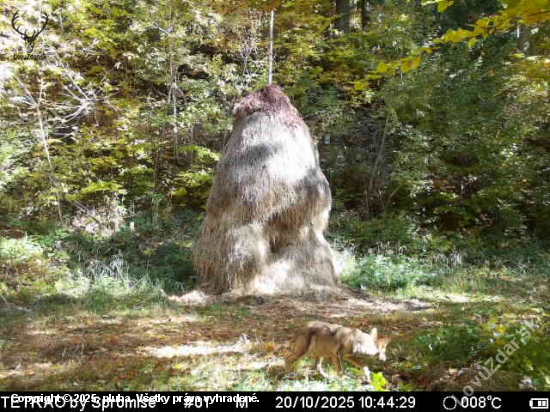 10 minút po našom odchode