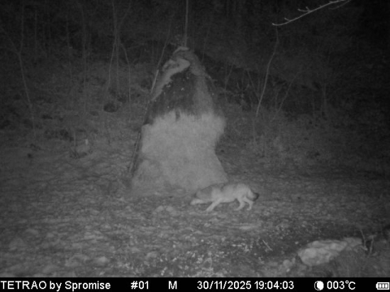 Prvé foto po výmene batérií