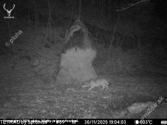 Prvé foto po výmene batérií