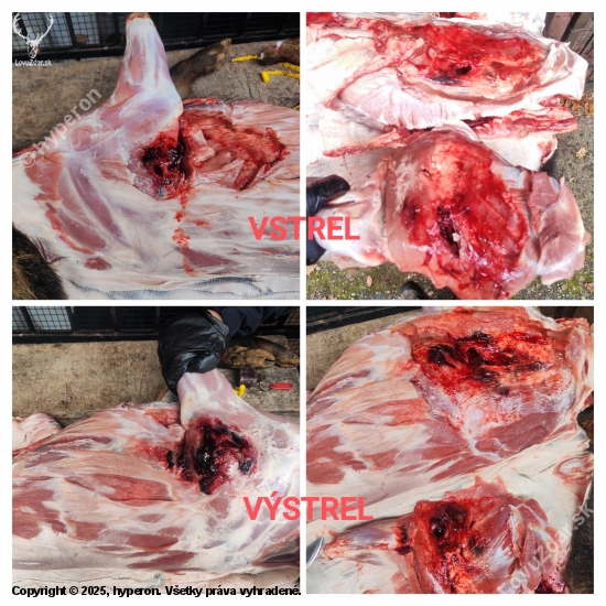 Geco Express 10,0g 7mm Rem Mag