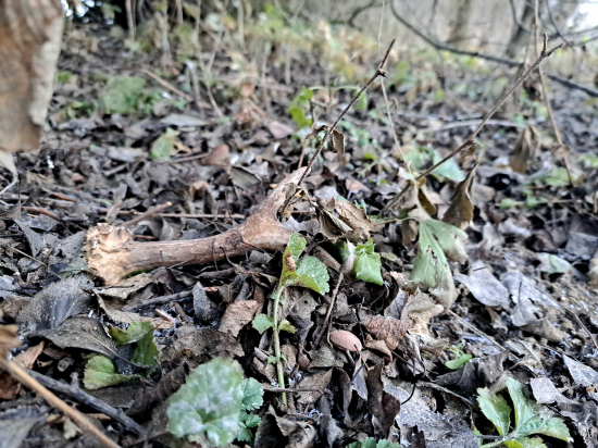 Začátek Nového roku