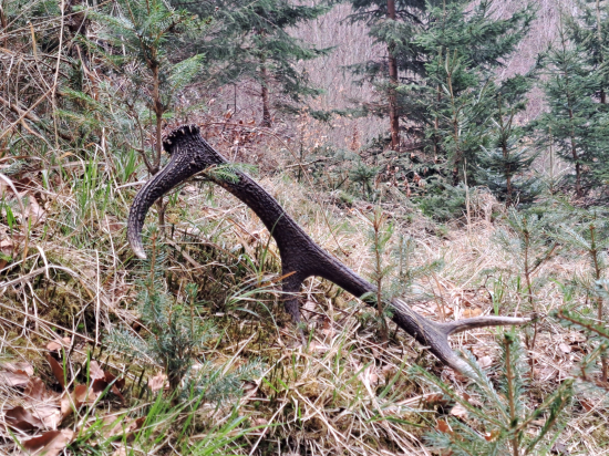 Vysokohorský kominík.