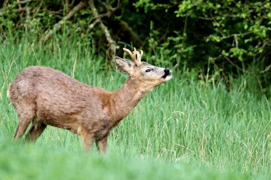 Něco je ve vzduchu.