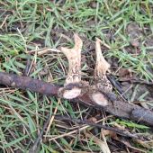 První den na shozech.