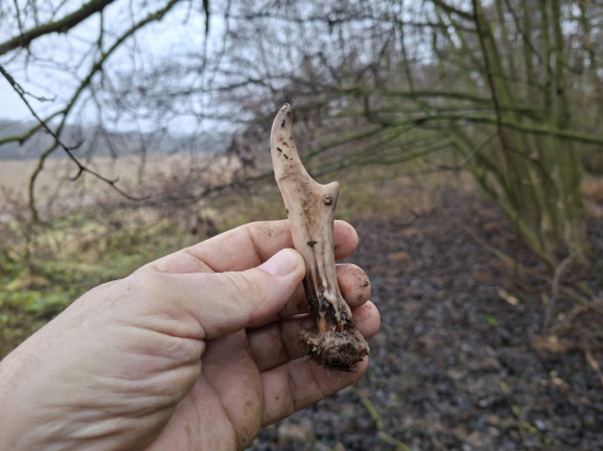 S ročkama se trhl pytel.