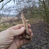 S ročkama se trhl pytel.