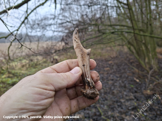 S ročkama se trhl pytel.