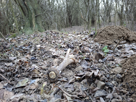 Zanechal mi památku.